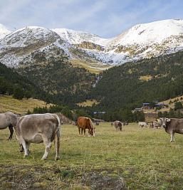 Photo gallery at Hotel Marfany